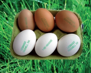Zelený inkoust na značení vajec s FDA certifikací 75000-00101